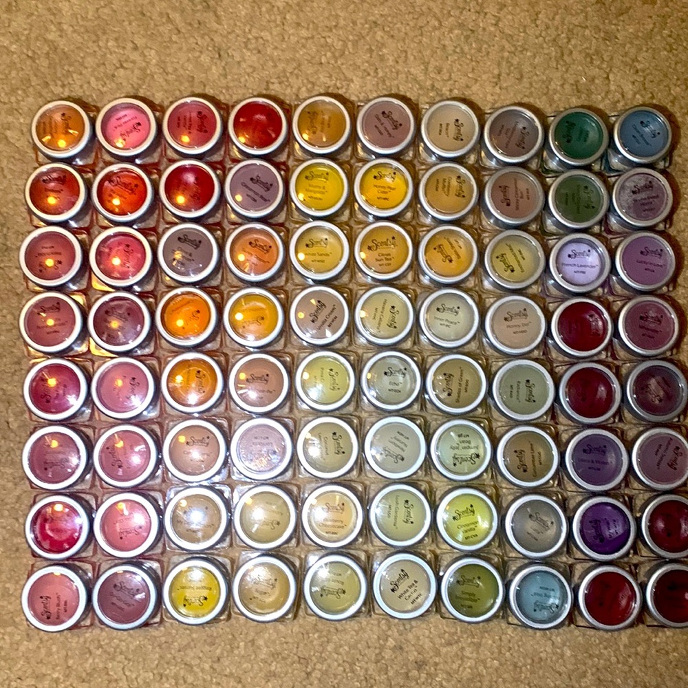 Scentsy samples, Bag, and extras
